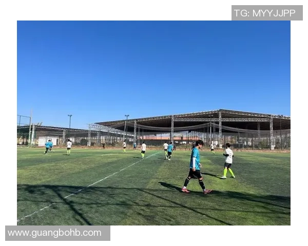 苏里南籍足球球星如何在国际赛场崭露头角并带动家乡足球发展 苏里南籍足球球星如何在国际赛场崭露头角并带动家乡足球发展